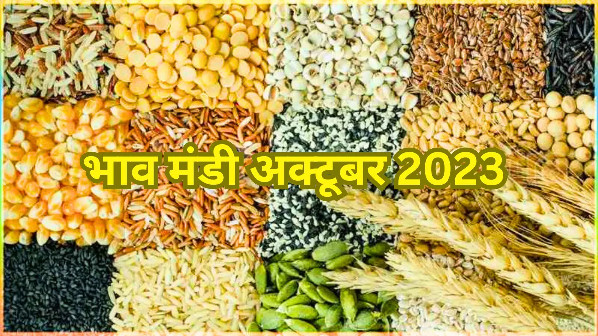 Today Mandi Bhav 2023