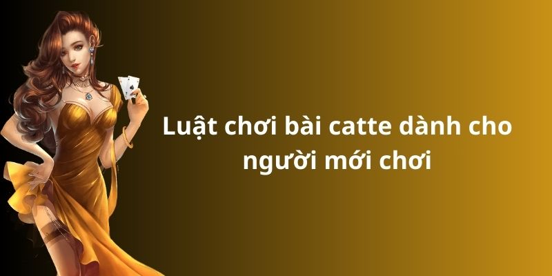 Luật chơi bài catte dành cho người mới chơi
